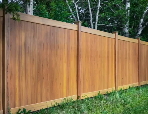 What Type of Wood Should You Use for Outdoor Projects?